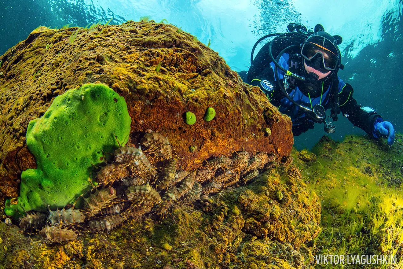 scuba diving russia 
