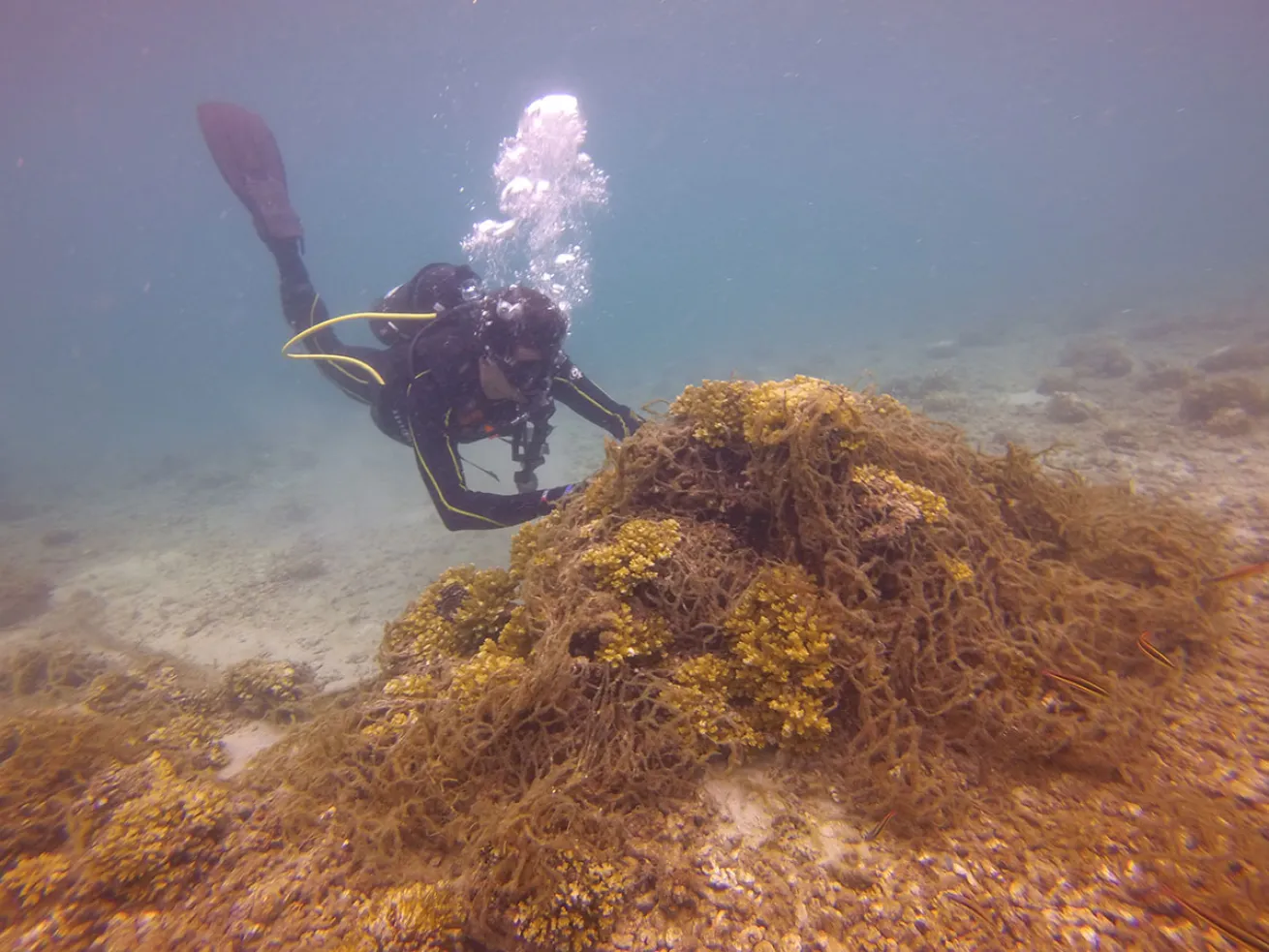 ghost fishing net removal ocean