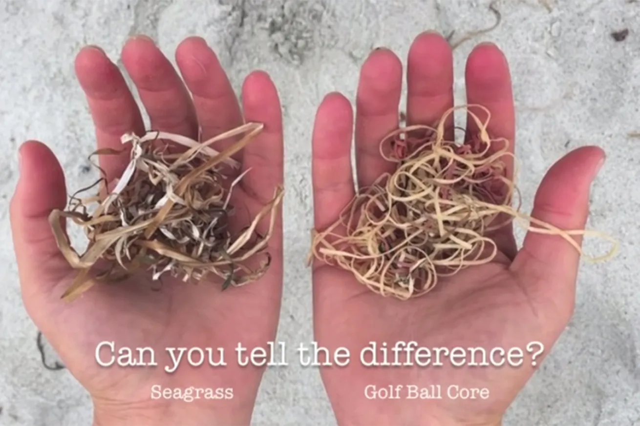 golf balls litter ocean pebble beach