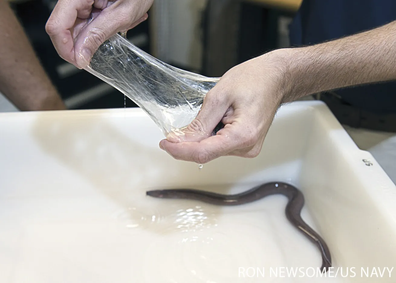 hagfish slime u.s. navy