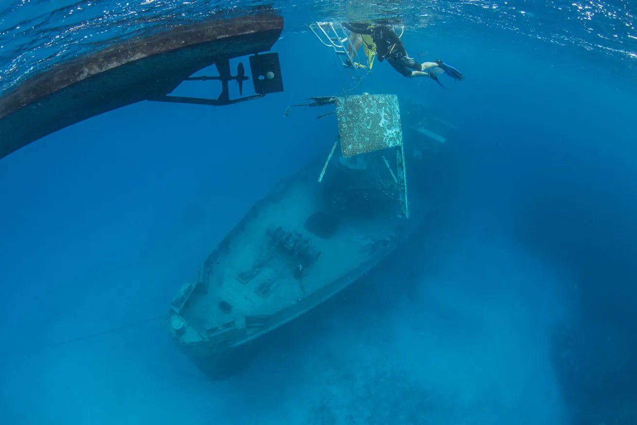 removing the panel; overview of Kittiwake