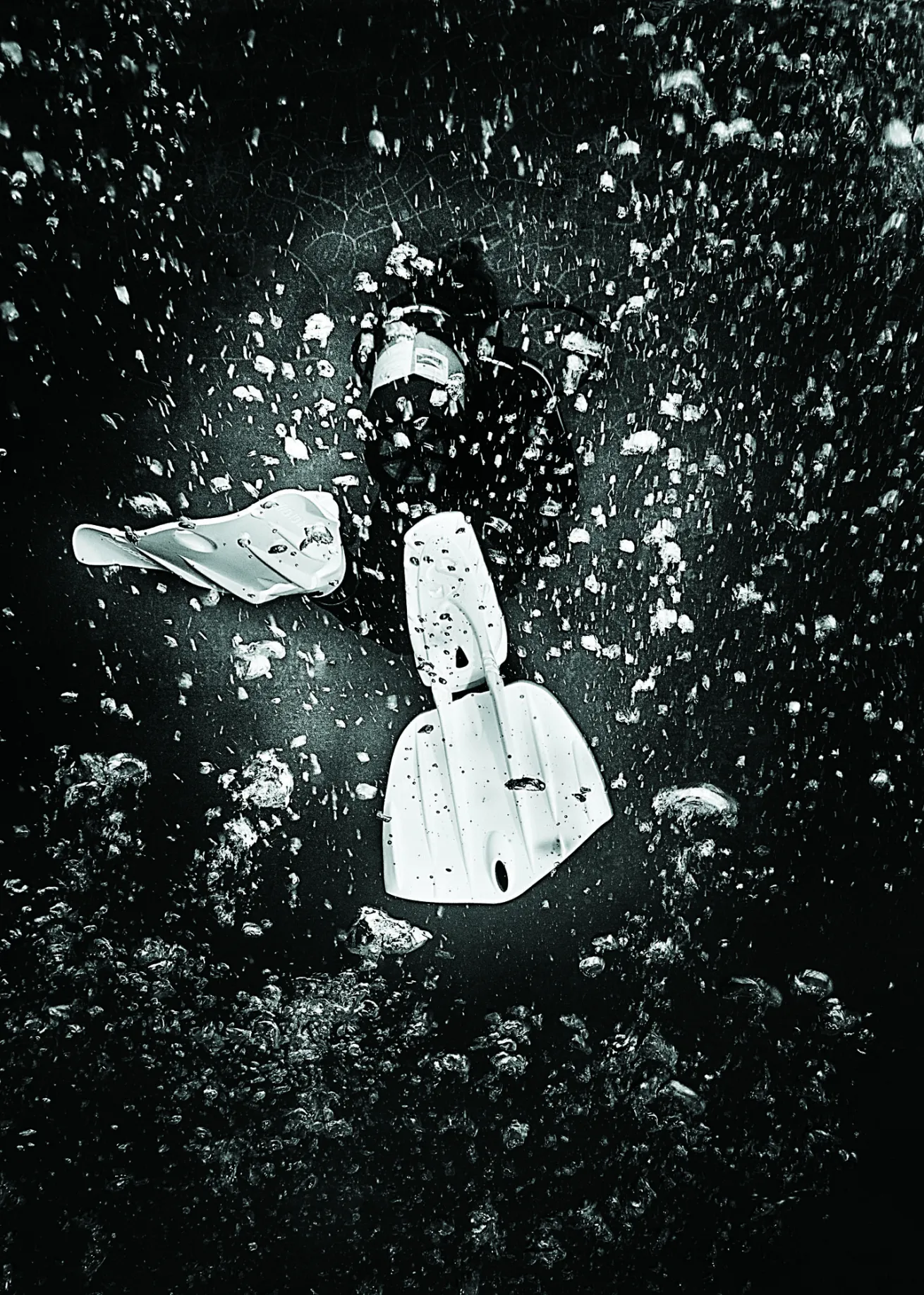 best dive gear