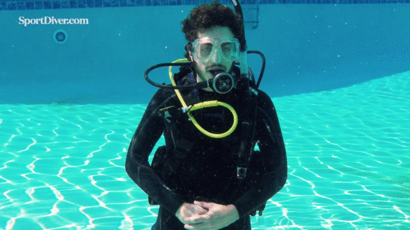 Manta Ray hand signal