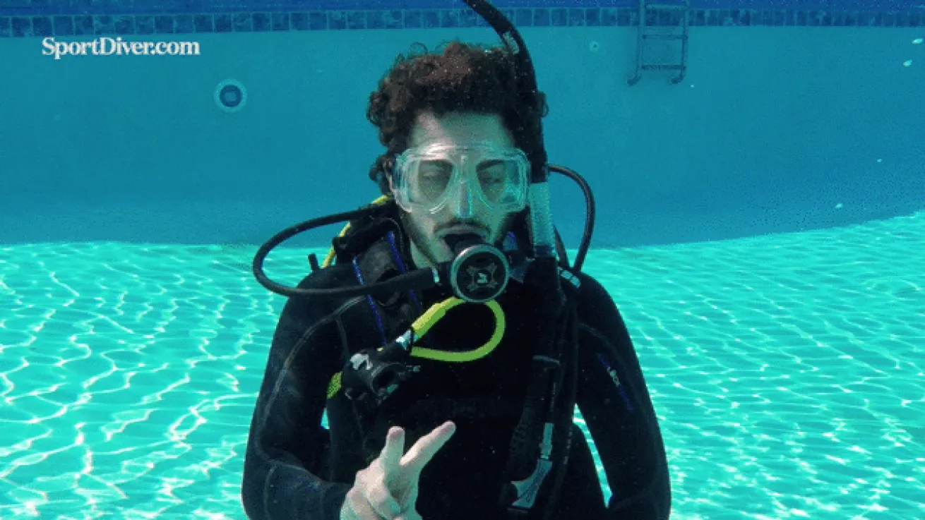 Nudibranch hand signal