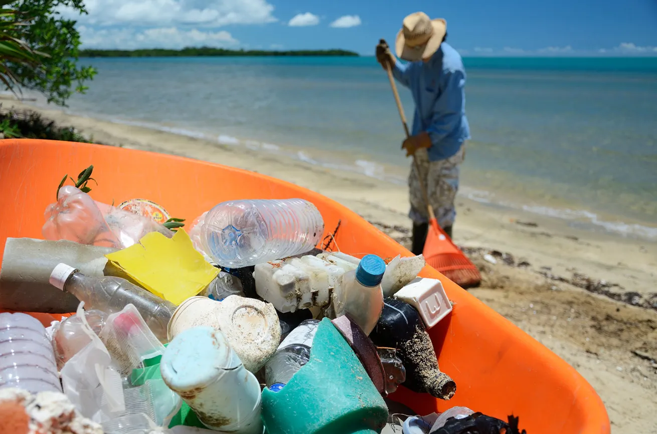 beach cleanup