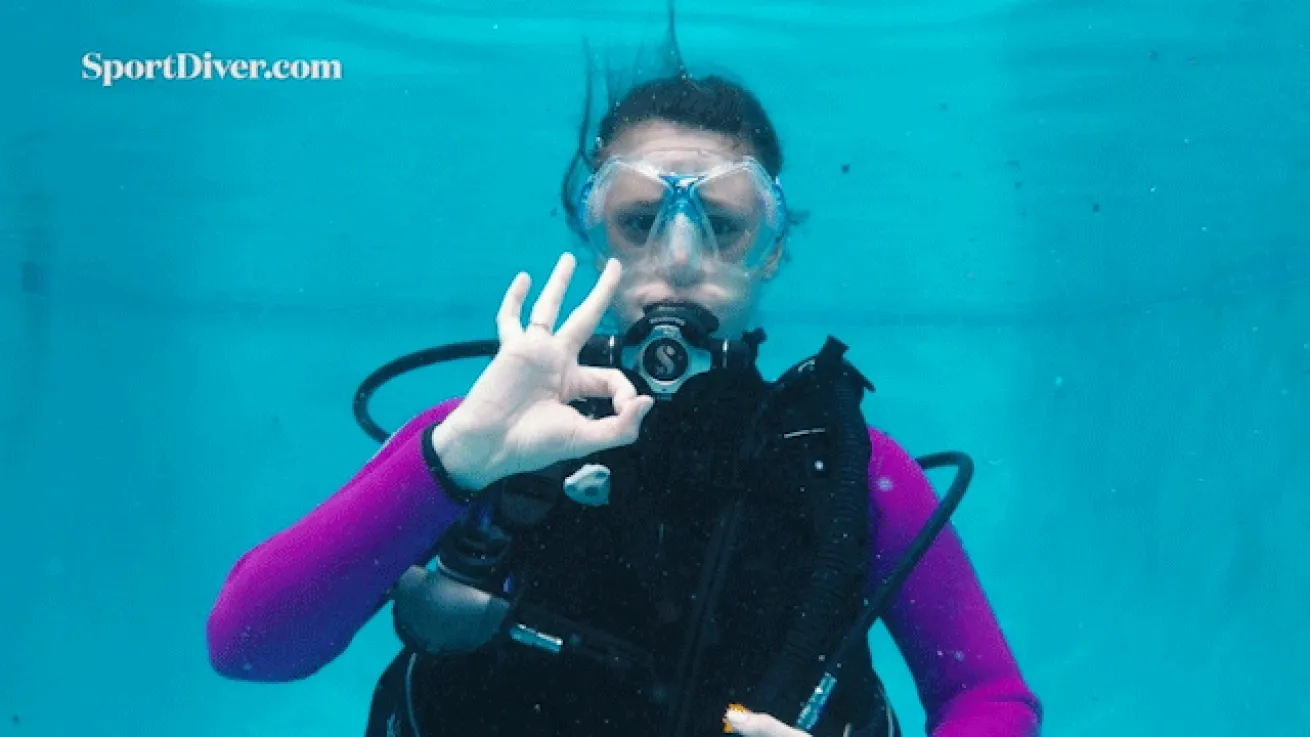 scuba diving hand signals ok