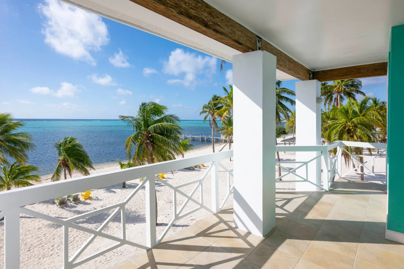 A deck with palm trees and a beach