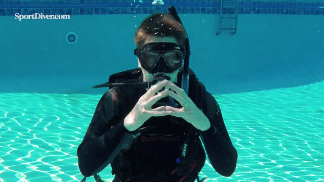 Pufferfish hand signal