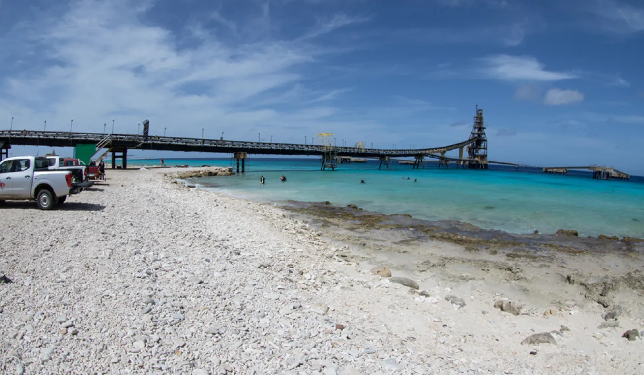 salt pier bonaire diving