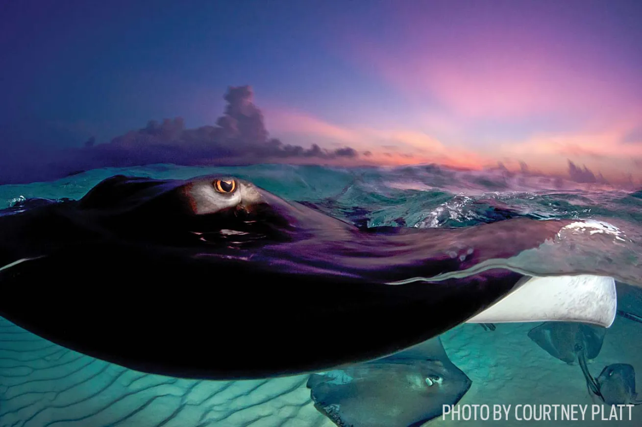 high iso underwater photos