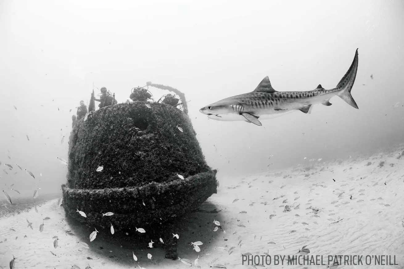 scuba diving jupiter wreck trek florida