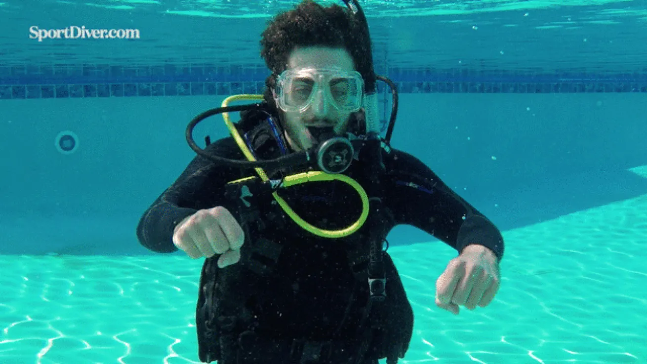 Seahorse hand signal