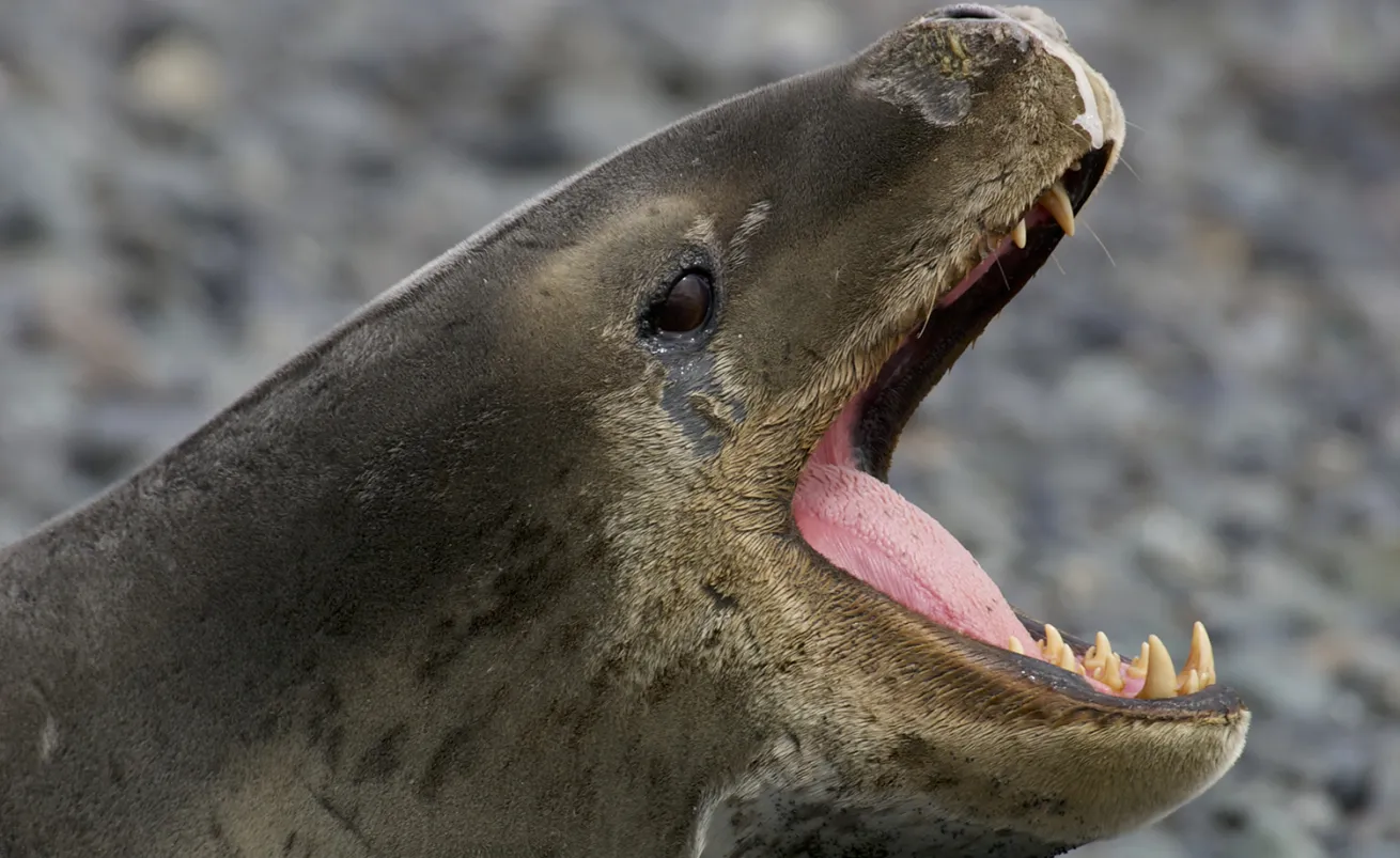 seal usb