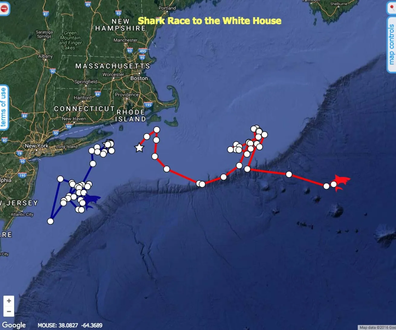 shark presidential race prediction