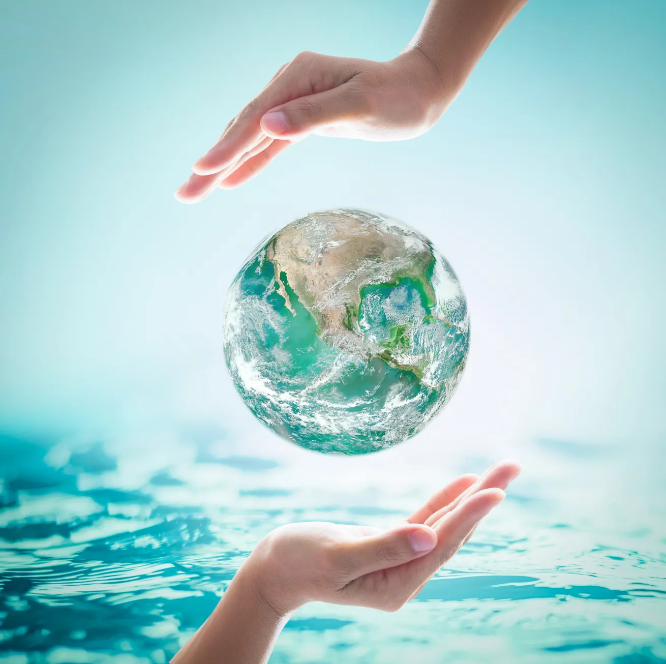 World Environment Day