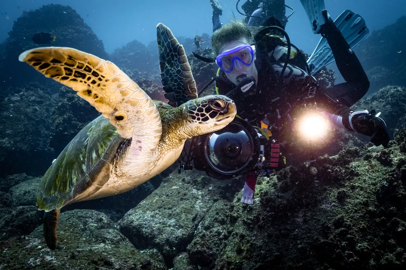 A person in scuba gear with a turtle underwater