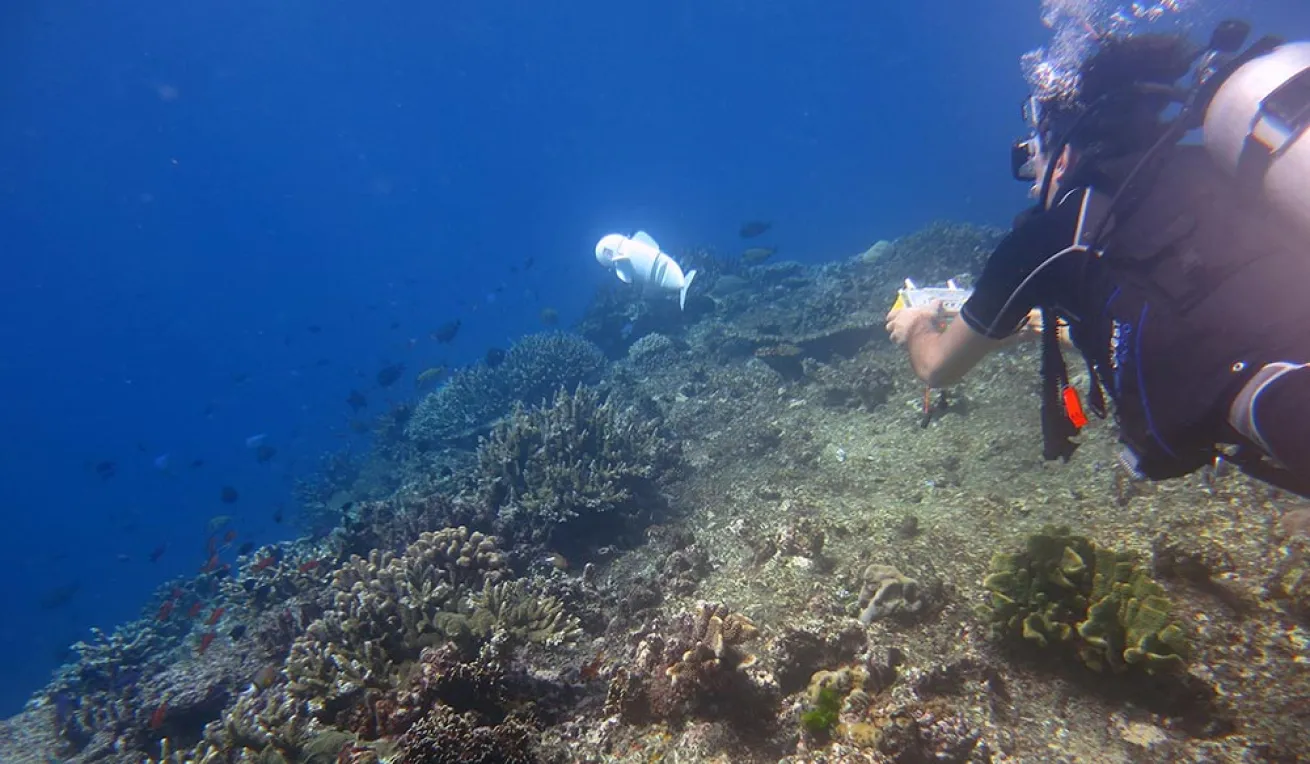 sofi robotic fish