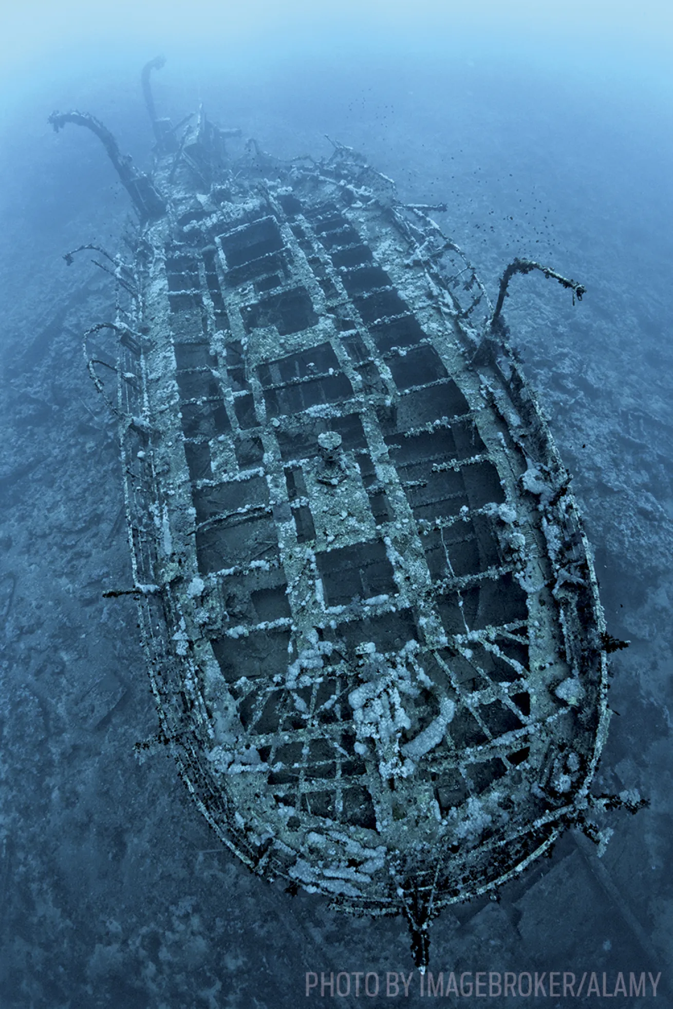 aida shipwreck scuba diving