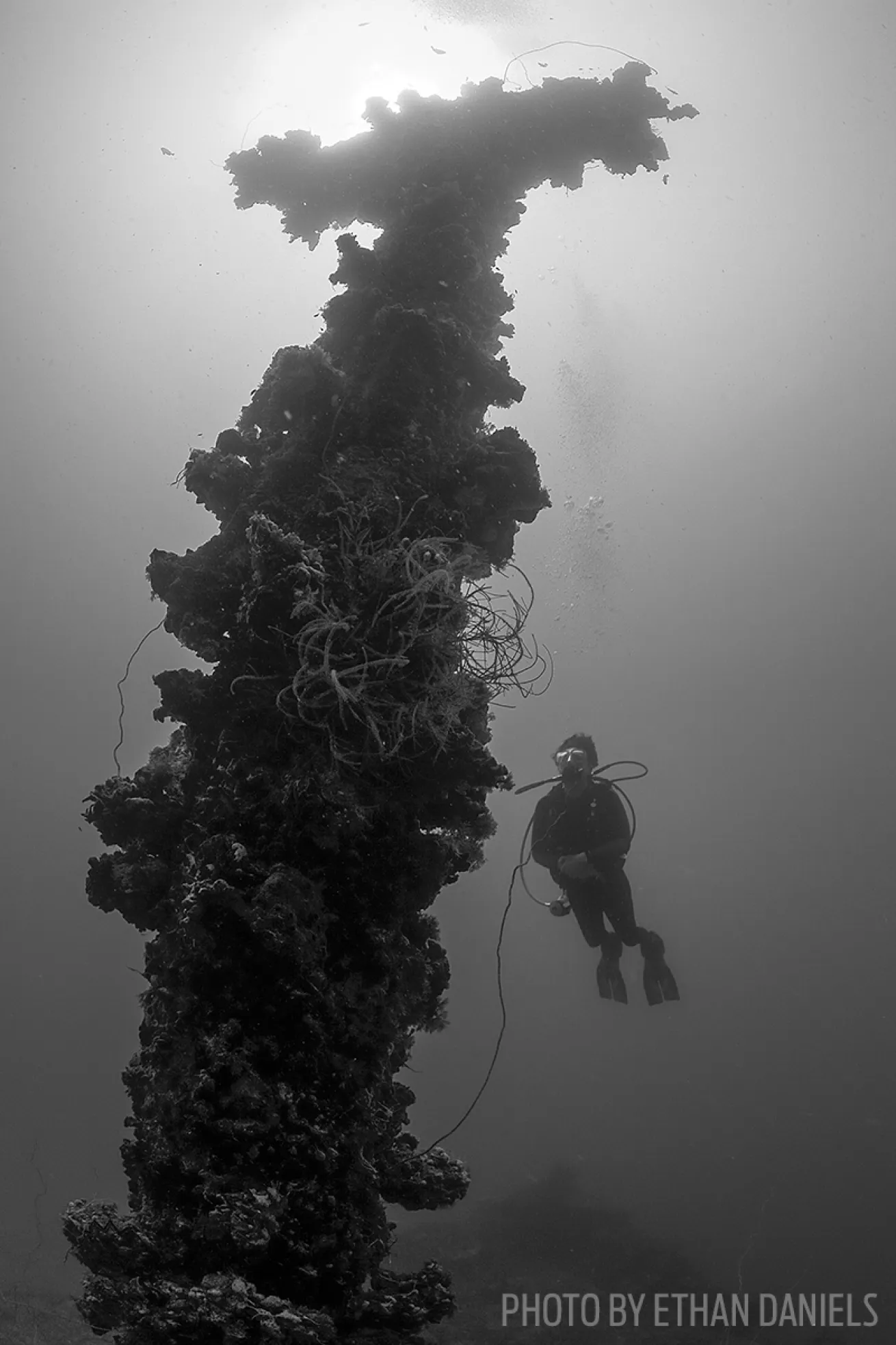 Chuyo Maru shipwreck Palau
