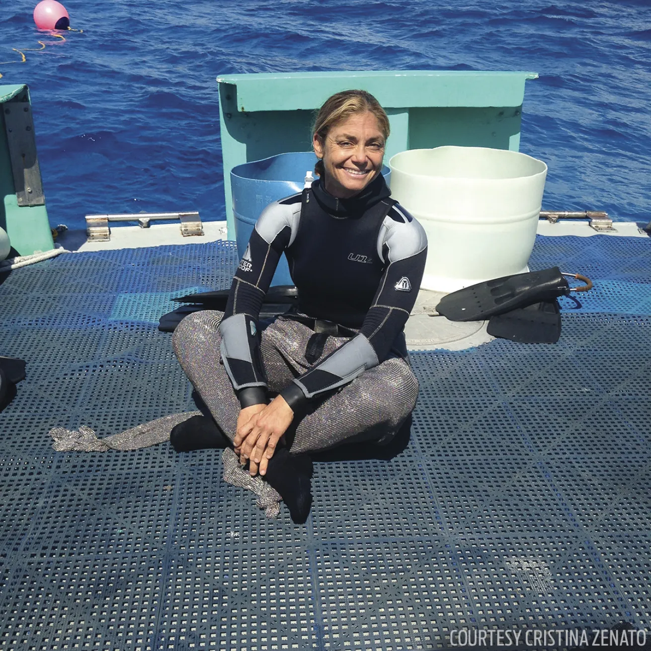 cristina zenato dives with sharks in the bahamas 