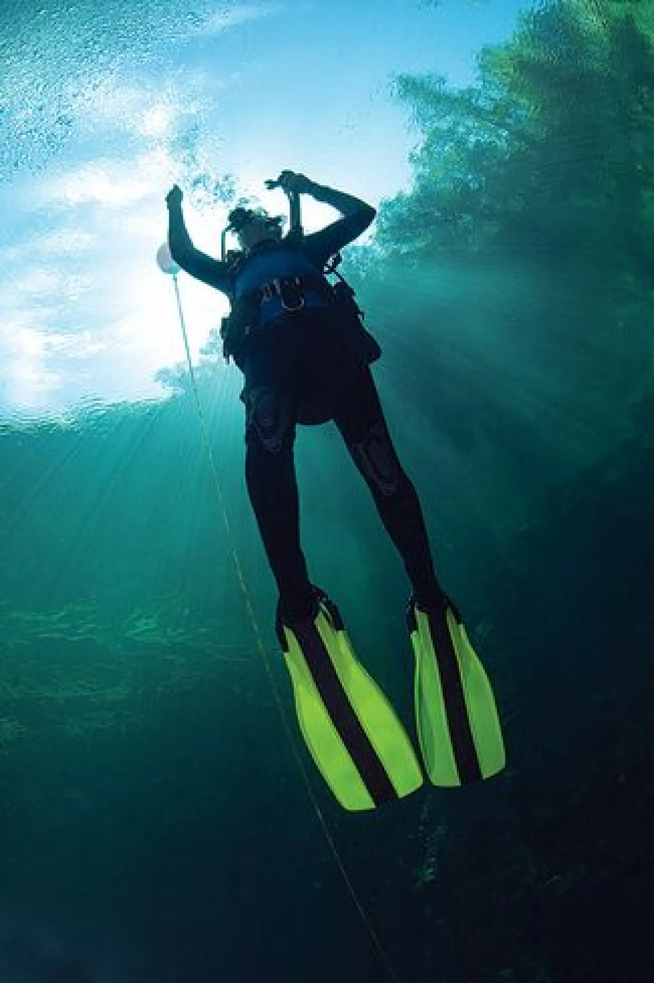 Diving Doc