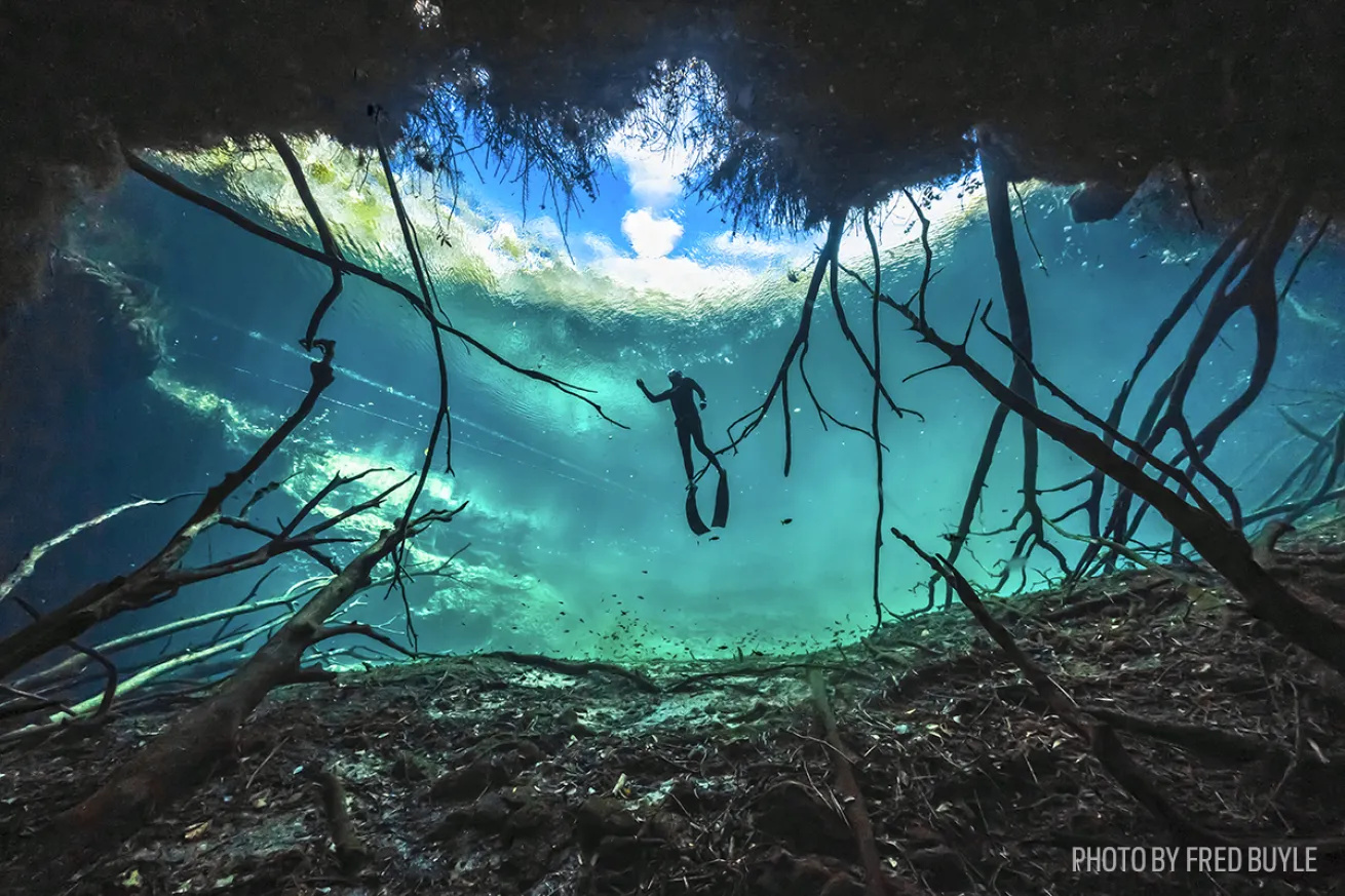 mexico cenote underwater photography 