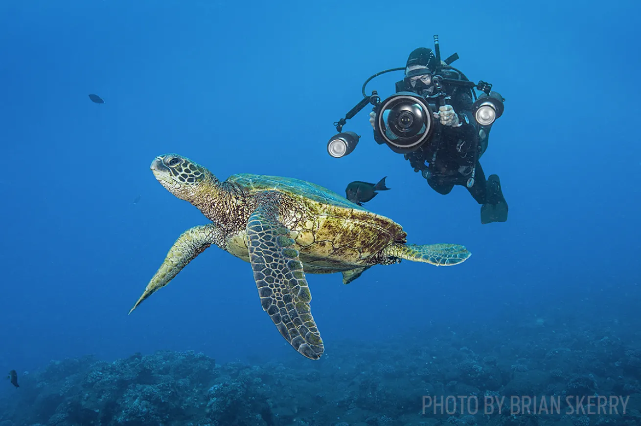 Bryce Groark underwater videographer