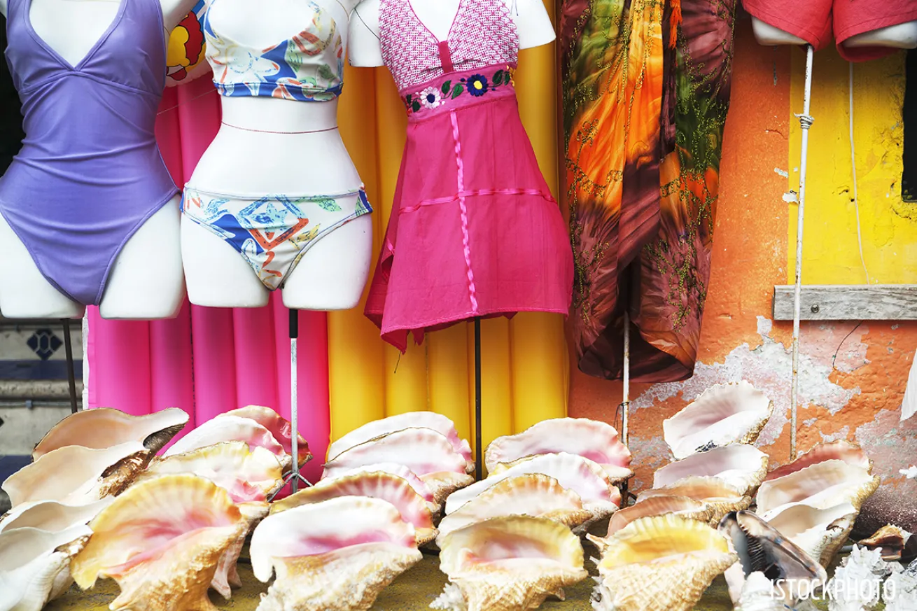 conch shell souvenir