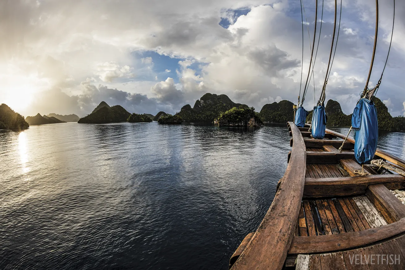 liveaboard