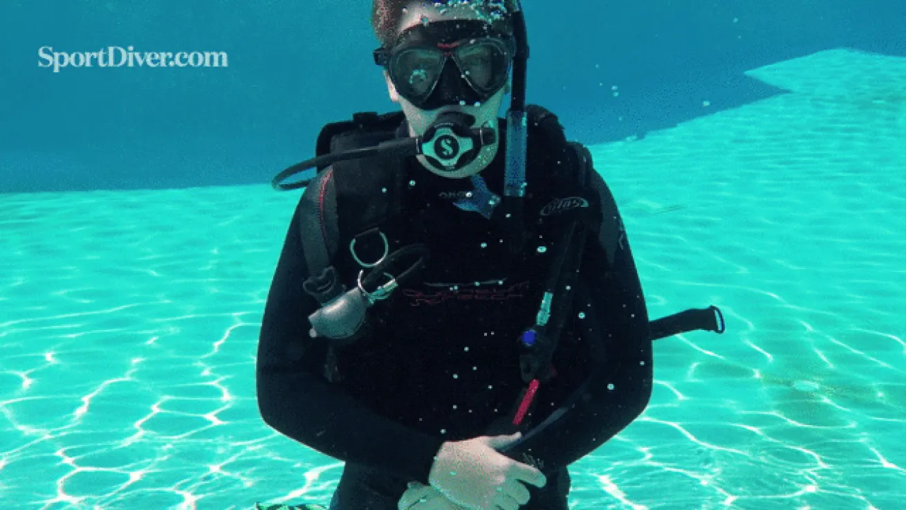 scuba hand signals stung