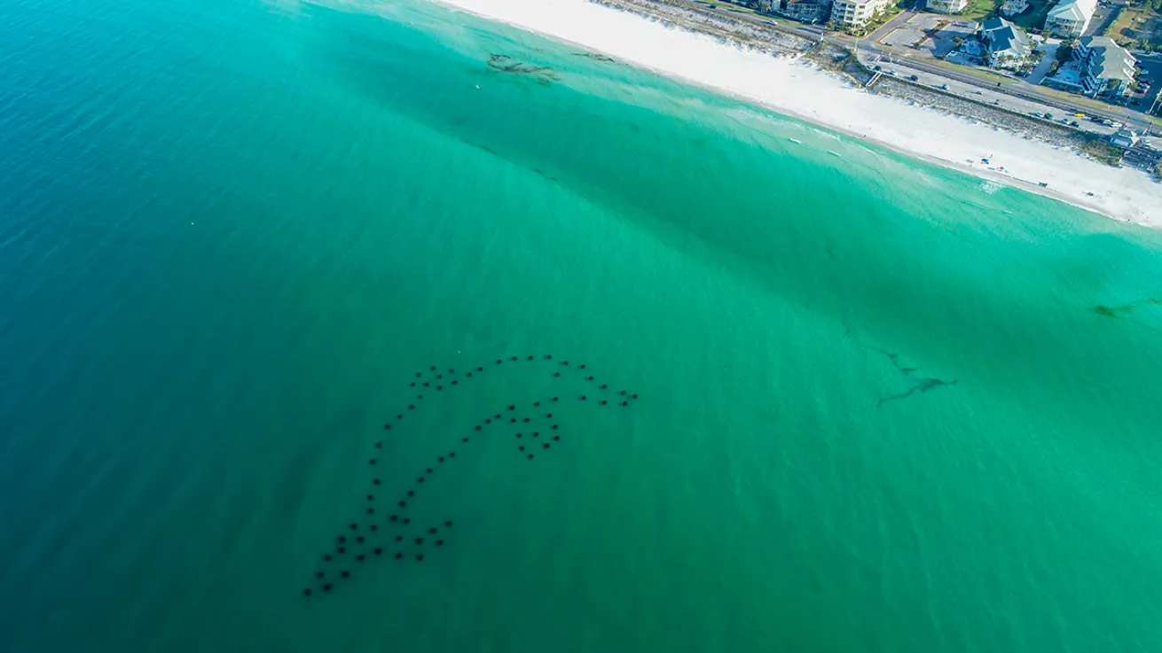 South Walton Artificial Reef Association