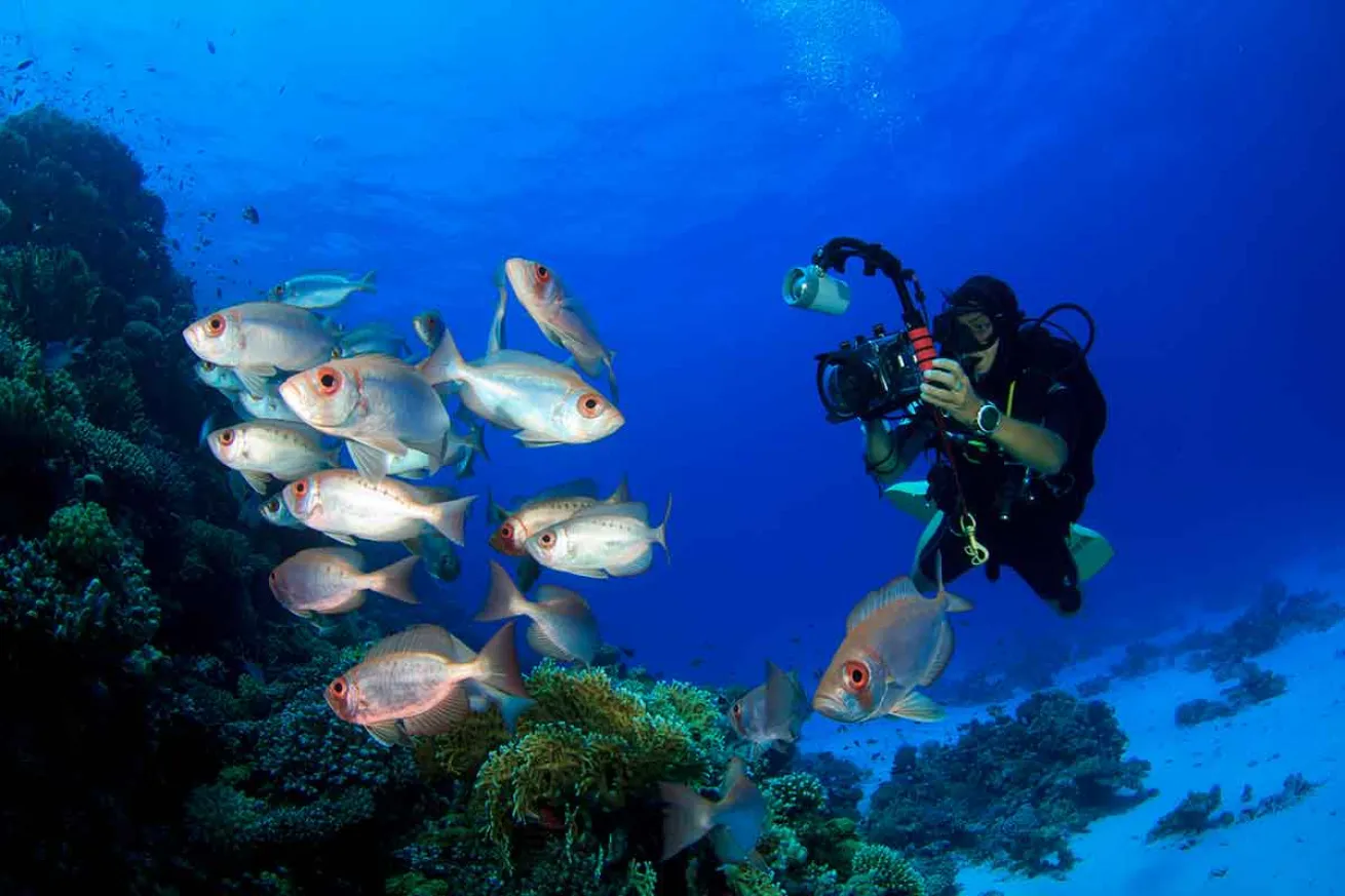 underwater photography camera tips