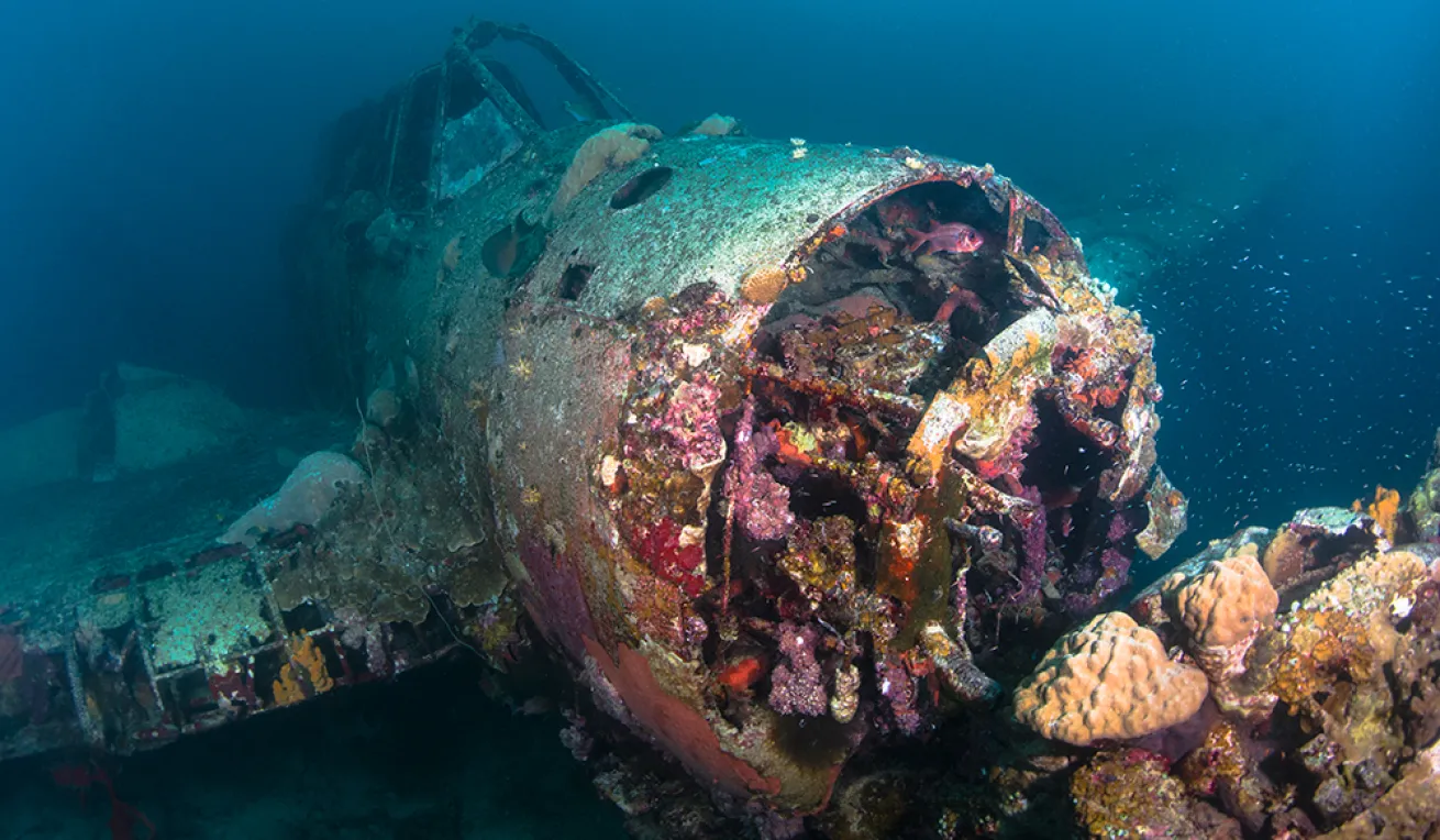palau wreck dive