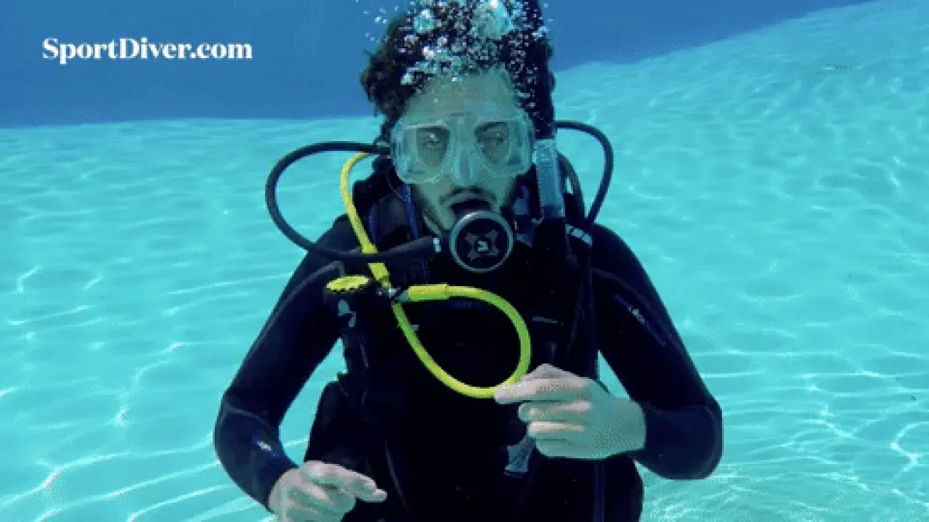 scuba hand signals funny