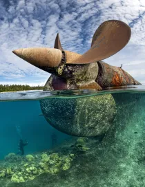 How to Win an Underwater Photo Contest