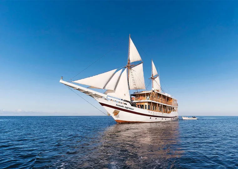Grand Prize Komodo Aggressor Aggressor Adventures