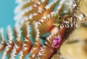 Bonaire-_edit.jpg.webp