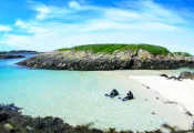 SNorkel Beach.jpg.webp