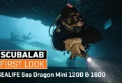 SeaDragon SeaLife Mini.png.webp