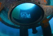 The Art Reef Photo Courtesy Tourism Portugal_edit.jpg.webp