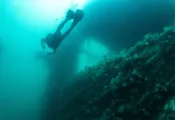 URABAIN  oceanomartina.   .jpg.webp