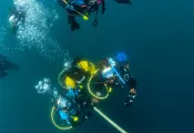 annie_crawley-divers-ascending-_edit.jpg.webp