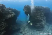 kauai-scuba-diving.jpg.webp