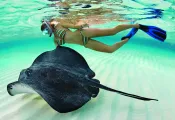 spd_snorkel_.jpg.webp