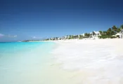 anguilla_img__.jpg.webp