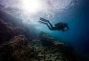 best-dives-croatia-adriatic-sea-shutterstock__.jpg.webp