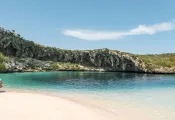 bmot-long-island-_teaser.jpg.webp