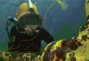 ocean-corp-cde-thumb.jpg.webp