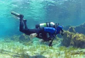 scuba-diver-shallow-mediterranean-shutterstock-nikolay-hristakiev.jpg.webp