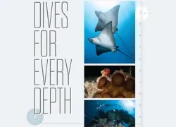 -dives-for-every-depth.jpg.webp